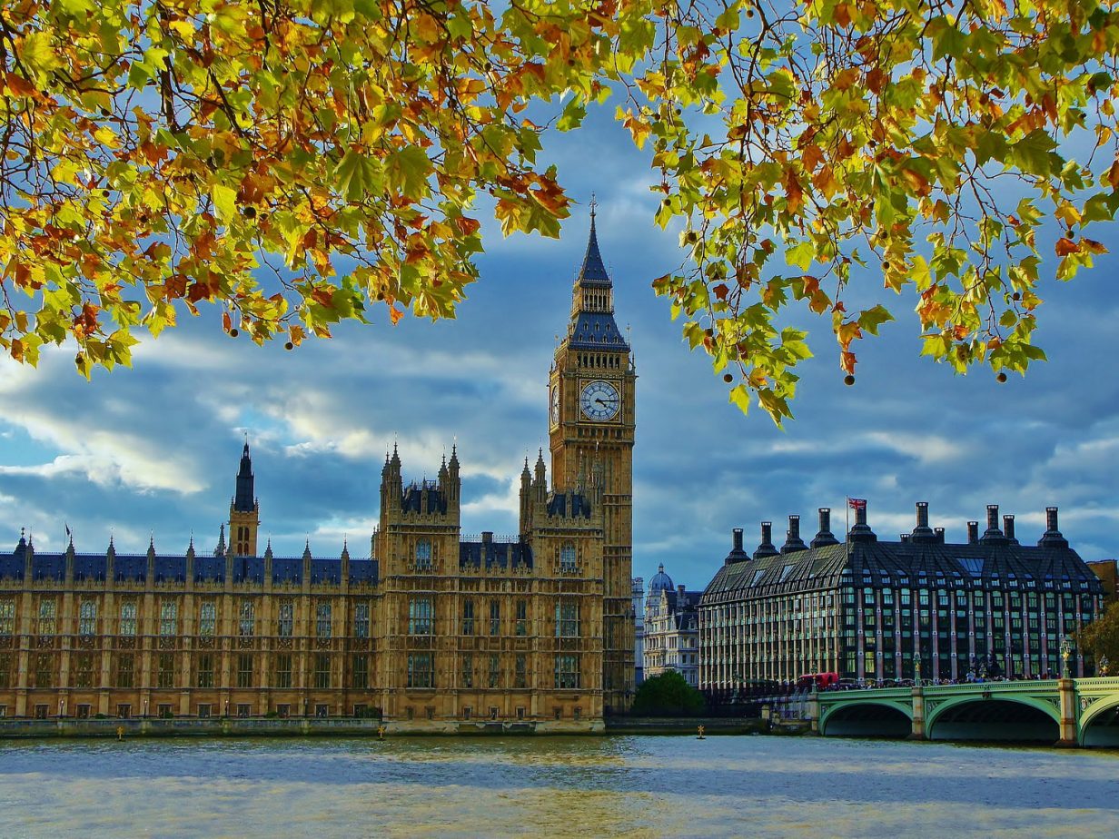 Government reviews and investigations
