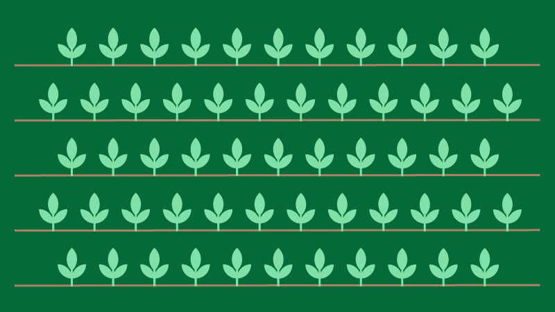 Horticulture and Orchards