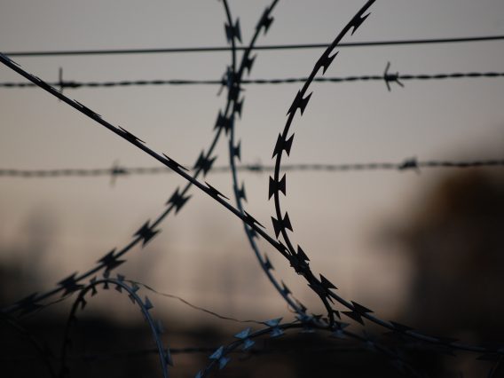 Sentences of Imprisonment for Public Protection