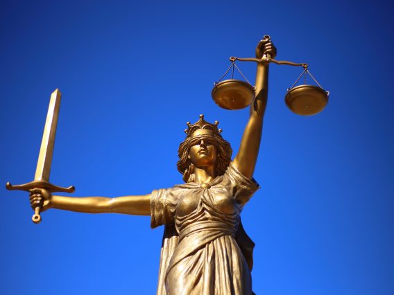 e-petition: remove sentence reductions for guilty pleas in controlling and coercive cases