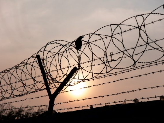 Changes to automatic prisoner release dates in England and Wales