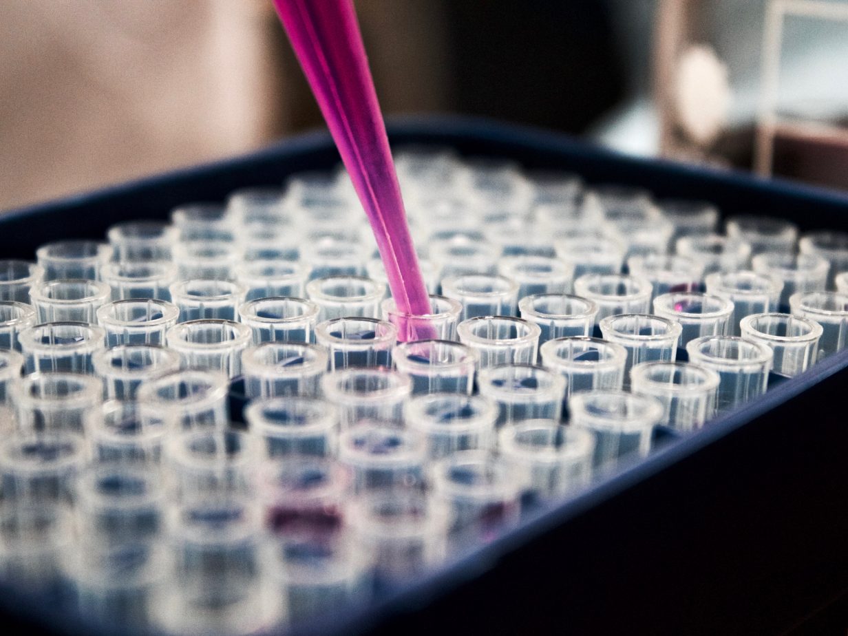 Research and development funding policy, 2019-2024