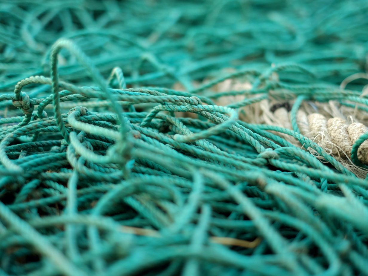 The fishing industry