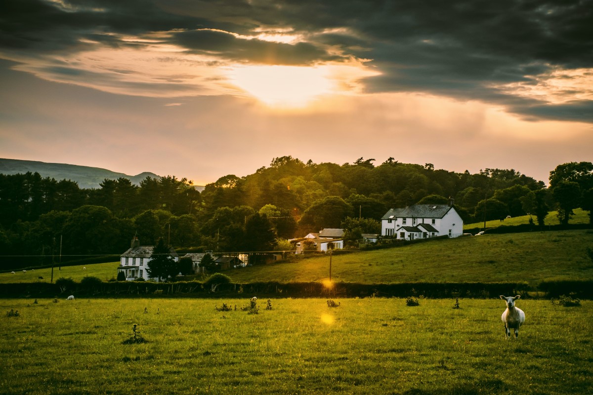 Levelling Up Rural Britain