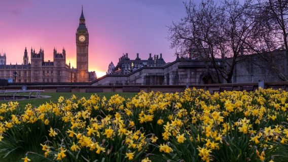 UK Parliament in Spring