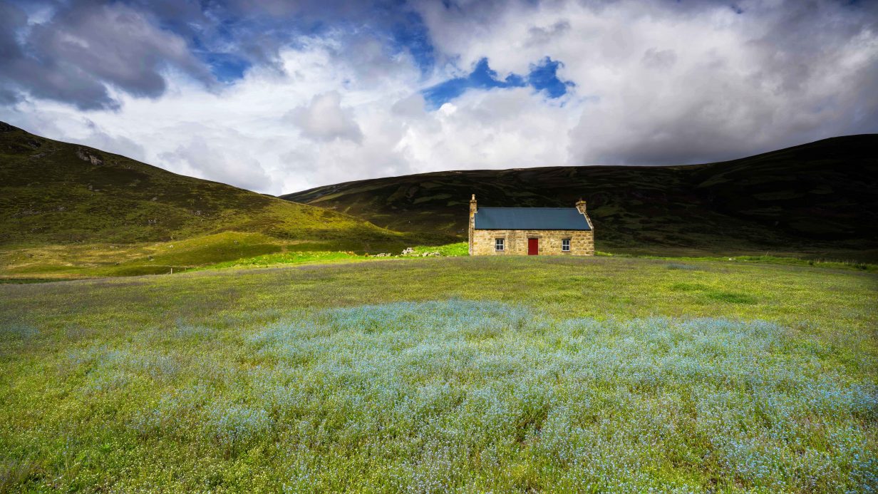 Constituency data: Households off the gas grid