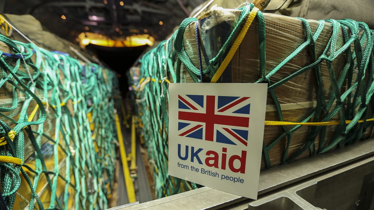 Global biodiversity loss, ecosystem collapse and UK national security