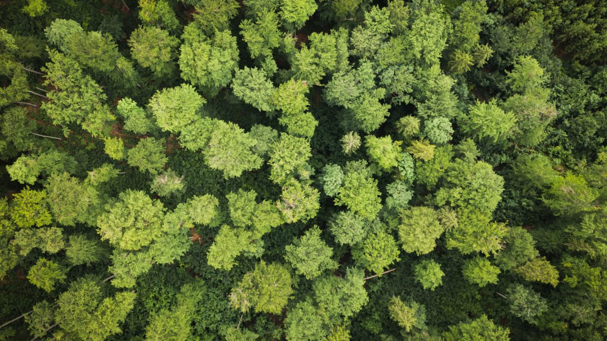 The UK’s plans and progress to reach net zero by 2050