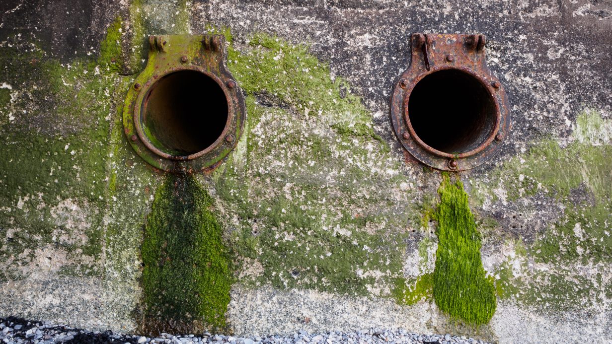 Economic regulation of the water industry