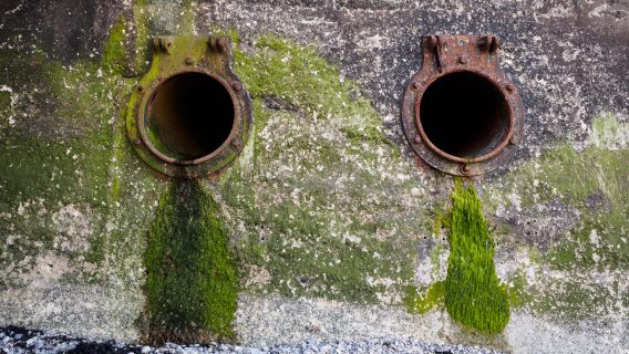 Economic regulation of the water industry